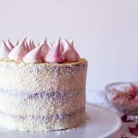 Raspberry, Coconut and White Chocolate Celebration Cake